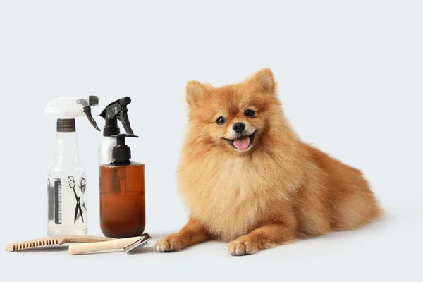 Full Grooming Packages