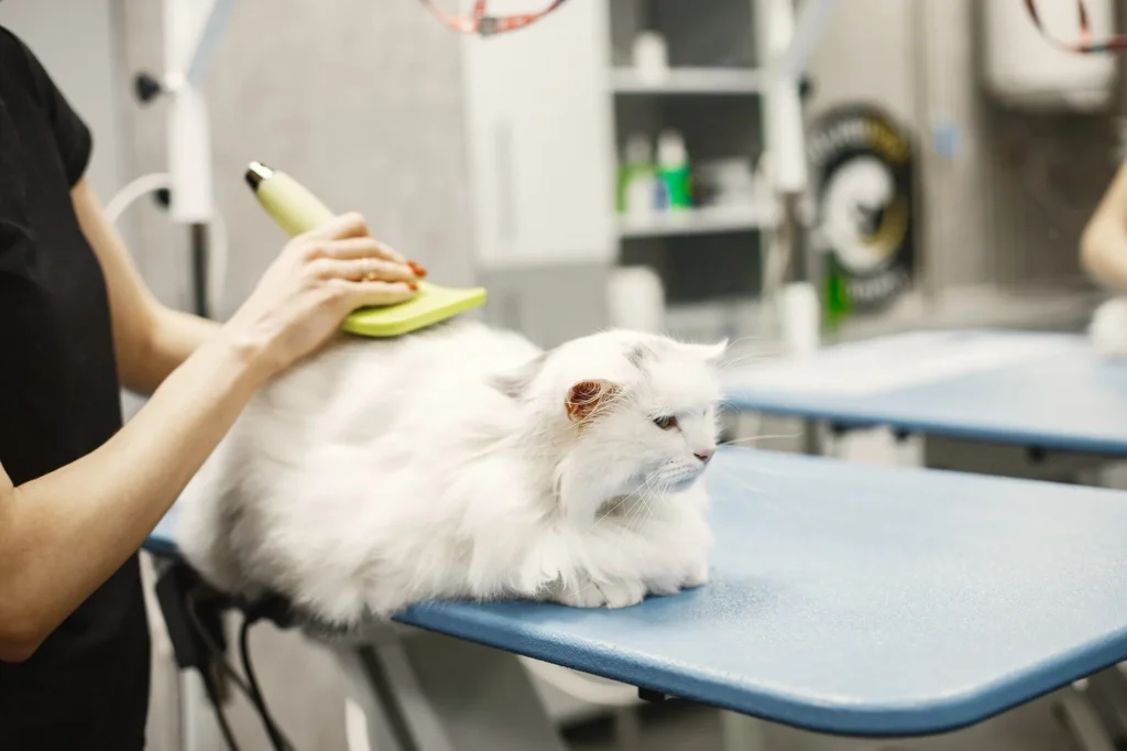 Pet grooming service